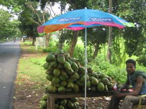 A typical fresh coconut-selling joint