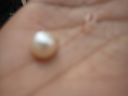 The Pearl that I bought@Rs. 10